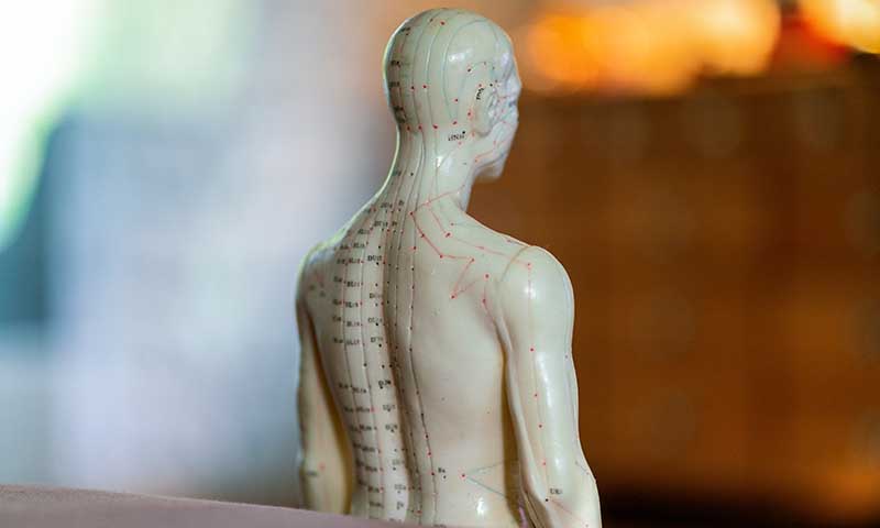 Partial,Close,Up,Of,A,Male,Acupunture,Doll,With,Bokeh