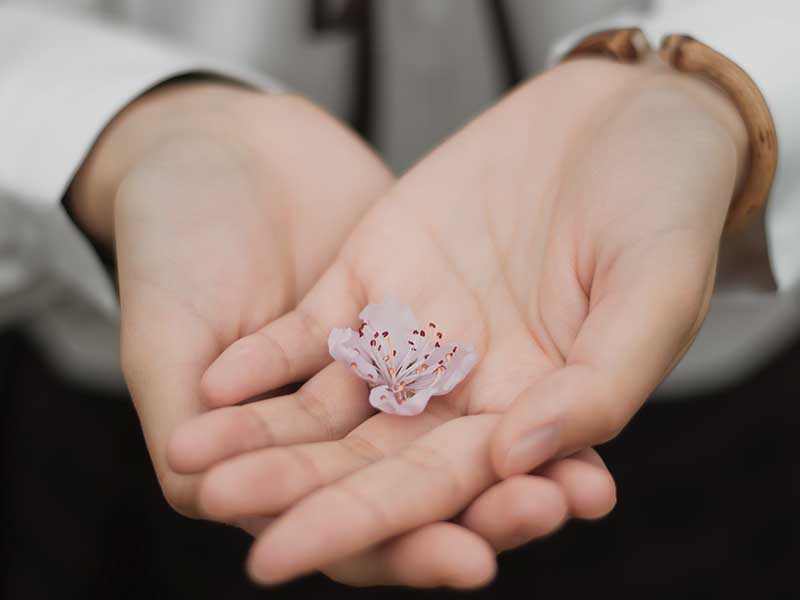 Ganzheitliche Behandlung bei Kiefergelenksschmerzen Blüte in der Hand – Symbol für sanfte Behandlung bei CM
