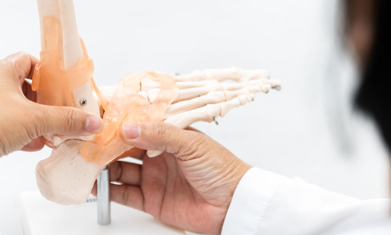 Ärztliche Erklärung des Unterschieds zwischen Bändern und Sehnen bei Bänderverletzungen